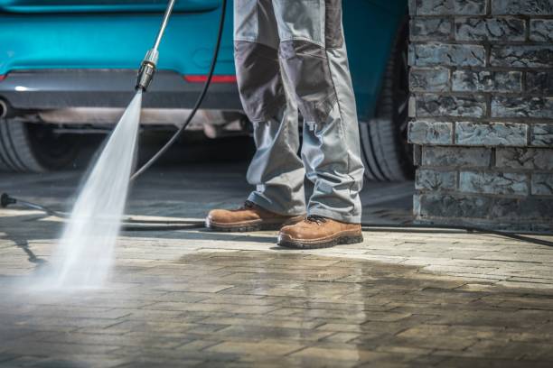Best Roof Washing  in Hampton, IA